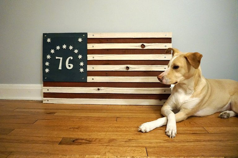 Image of The Bennington Flag